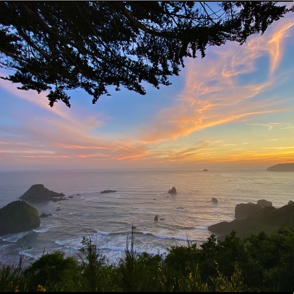 Meet your Posher, Starwind - Picture 2 of 5